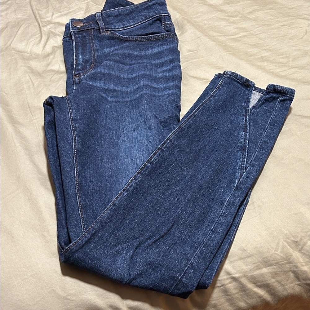 Loft Moto Denim Jeans